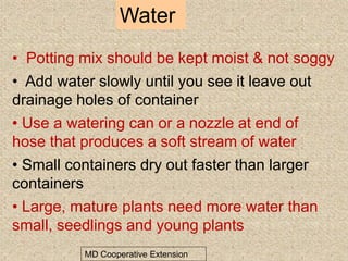 Water
MD Cooperative Extension
• Potting mix should be kept moist & not soggy
• Add water slowly until you see it leave out
drainage holes of container
• Use a watering can or a nozzle at end of
hose that produces a soft stream of water
• Small containers dry out faster than larger
containers
• Large, mature plants need more water than
small, seedlings and young plants
 