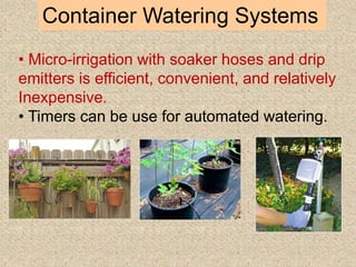 Container Watering Systems
• Micro-irrigation with soaker hoses and drip
emitters is efficient, convenient, and relatively
Inexpensive.
• Timers can be use for automated watering.
 