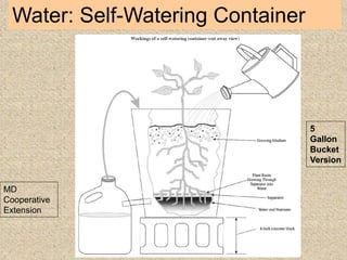 Water: Self-Watering Container
MD
Cooperative
Extension
5
Gallon
Bucket
Version
 