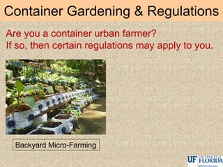 Container Gardening & Regulations
Backyard Micro-Farming
Are you a container urban farmer?
If so, then certain regulations may apply to you.
 