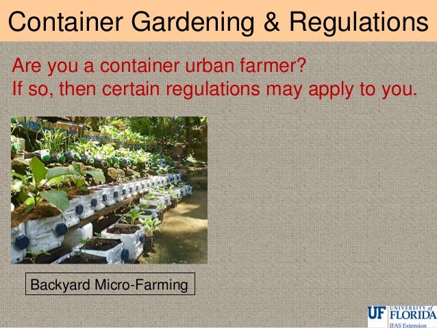 Organic Ve able Container Gardening Container Gardening & Regulations Rooftop Urban Farming