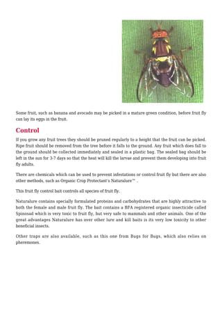 Queensland Fruit Fly Control in your Garden | PDF
