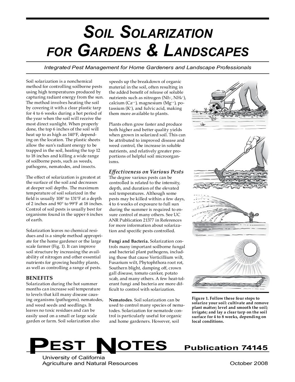 Soil Solarization for Gardens & Landscapes