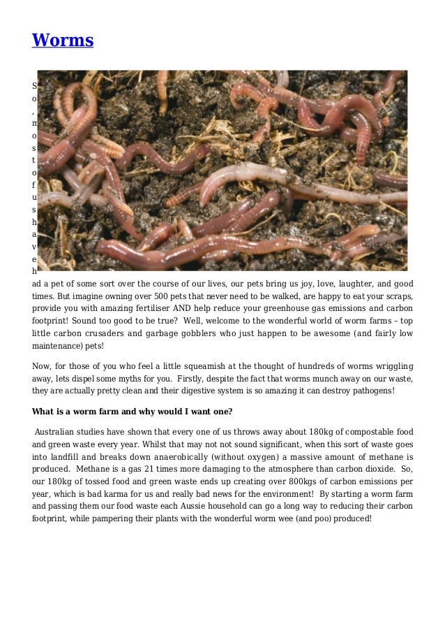 Worms Composting