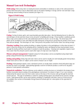Energy Options for Horticulture | PDF