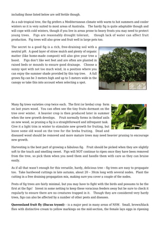 Figs Gardening | PDF