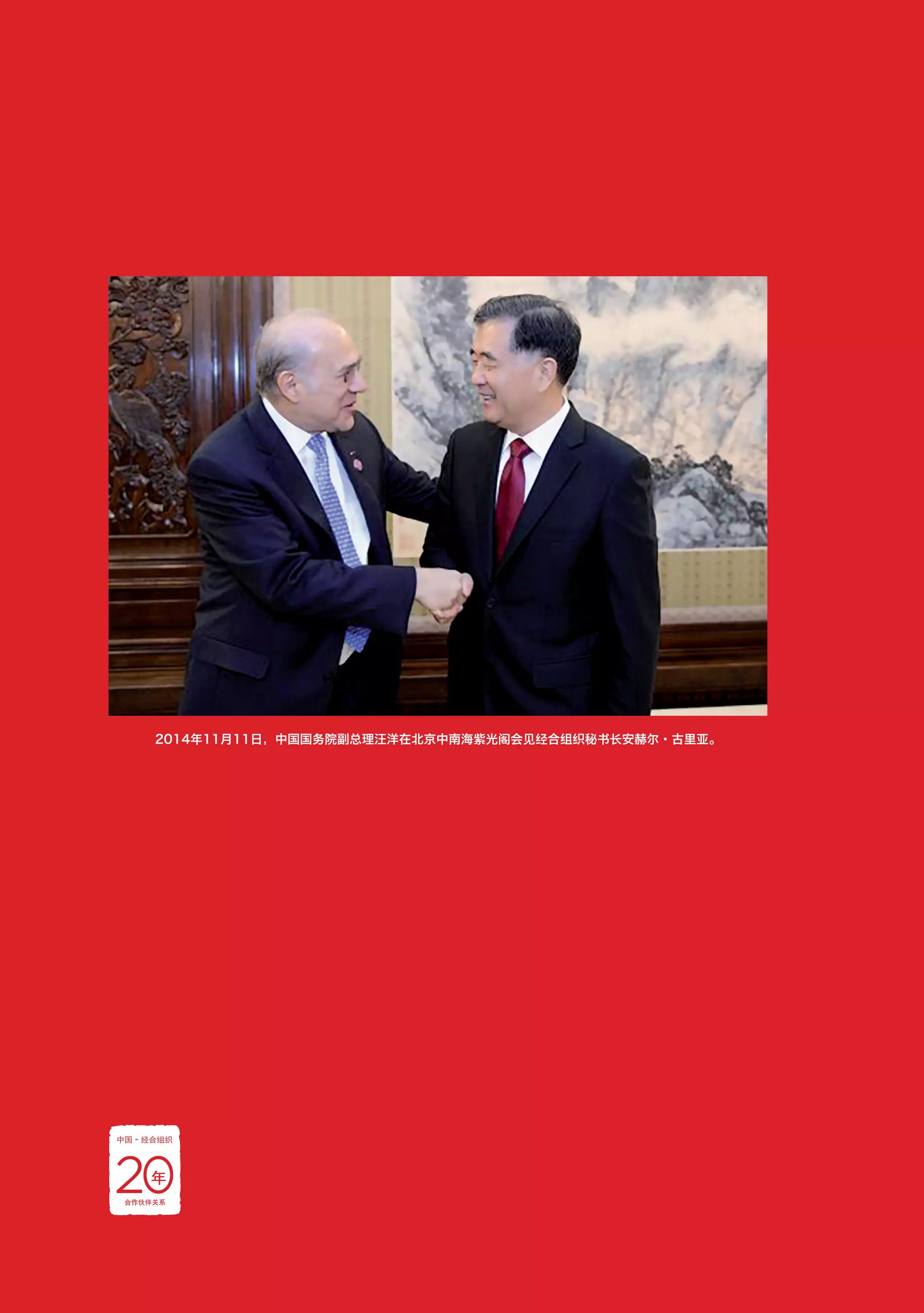 OECD-China: 20 years of partnership (Chinese) | PDF