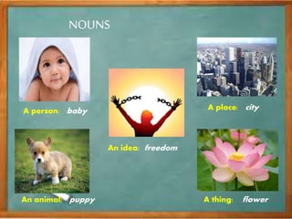 NOUNS
A person: baby
An animal: puppy A thing: flower
A place: city
An idea: freedom
 