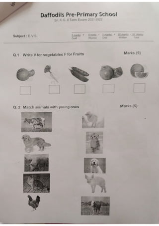 Sr.kg.final exam paper (1).pdf