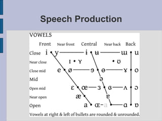 Speech Production
 