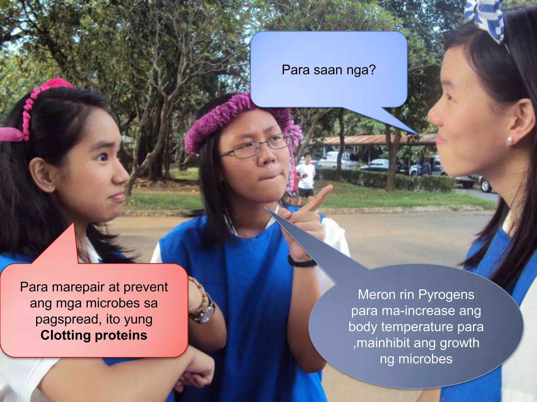 Para saannga?Para marepair at prevent angmga microbes sapagspread, itoyungClotting proteinsMeronrinPyrogenspara ma-increase ang body temperature para ,mainhibitang growth ng microbes
