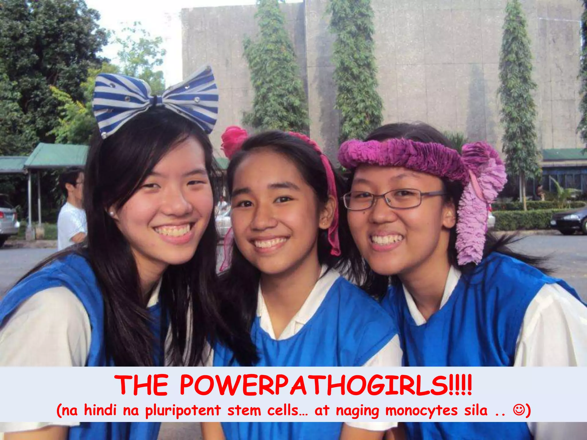THE POWERPATHOGIRLS!!!!(nahindinapluripotent stem cells… at nagingmonocytessila .. )
