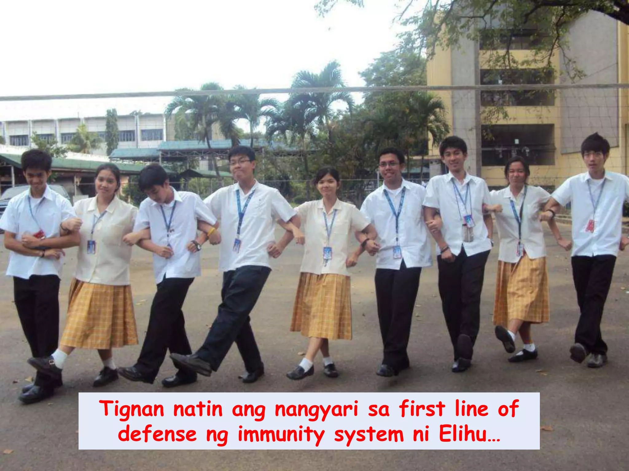 Tignannatinangnangyarisa first line of defenseng immunity system niElihu…