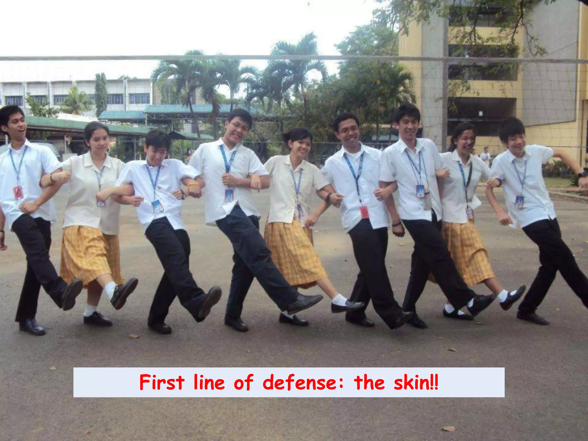 First line of defense: the skin!!