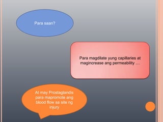 Para saan?Para magdilateyung capillaries at magincreaseang permeability …At may Prostaglandisparamapromoteang blood flow sa site ng injury