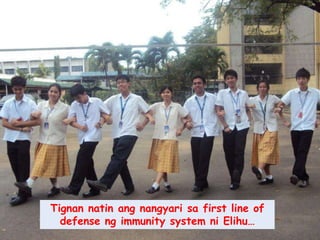 Tignannatinangnangyarisa first line of defenseng immunity system niElihu…