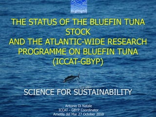 THE ATLANTIC-WIDE RESEARCH PROGRAMME ON BLUEFIN TUNA   (ICCAT-GBYP) THE STATUS OF THE BLUEFIN TUNA STOCK  AND THE ATLANTIC-WIDE RESEARCH PROGRAMME ON BLUEFIN TUNA   (ICCAT-GBYP) SCIENCE FOR SUSTAINABILITY Antonio Di Natale ICCAT - GBYP Coordinator ICCAT – SCRS Plenary – Madrid 4-8 October 2010 Antonio Di Natale ICCAT - GBYP Coordinator Ametlla del Mar 27 October 2010 