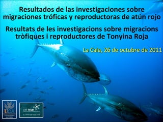 Resultados de las investigaciones sobre migraciones tróficas y reproductoras de atún rojo Resultats de les investigacions sobre migracions tròfiques i reproductores de Tonyina Roja La Cala, 26 de octubre de 2011 