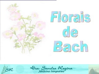 Florais  de  Bach 