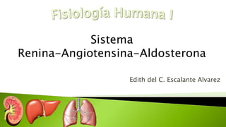 Sistema
Renina-Angiotensina-Aldosterona
Edith del C. Escalante Alvarez
 