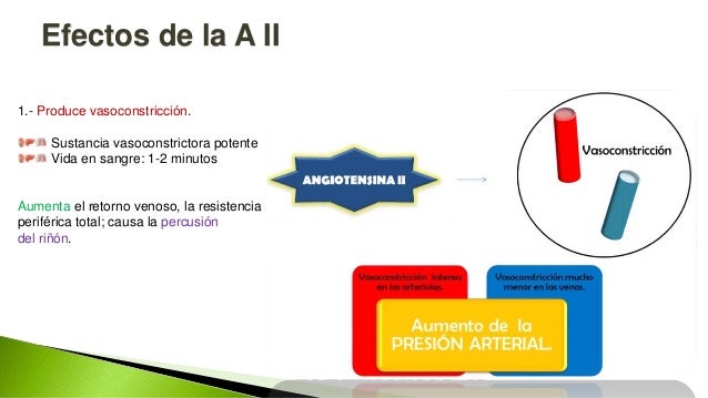 Resultado de imagen para angiotensina 2