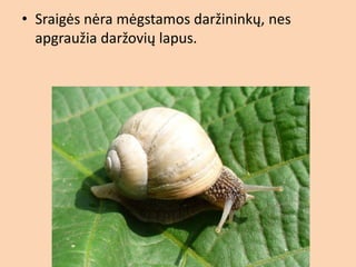 2b - ė