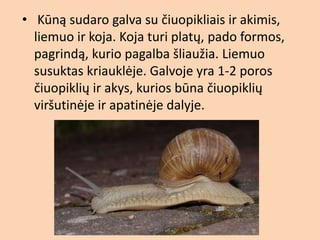 2b - ė