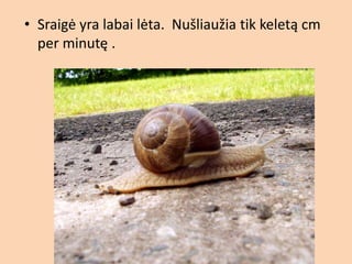 2b - ė