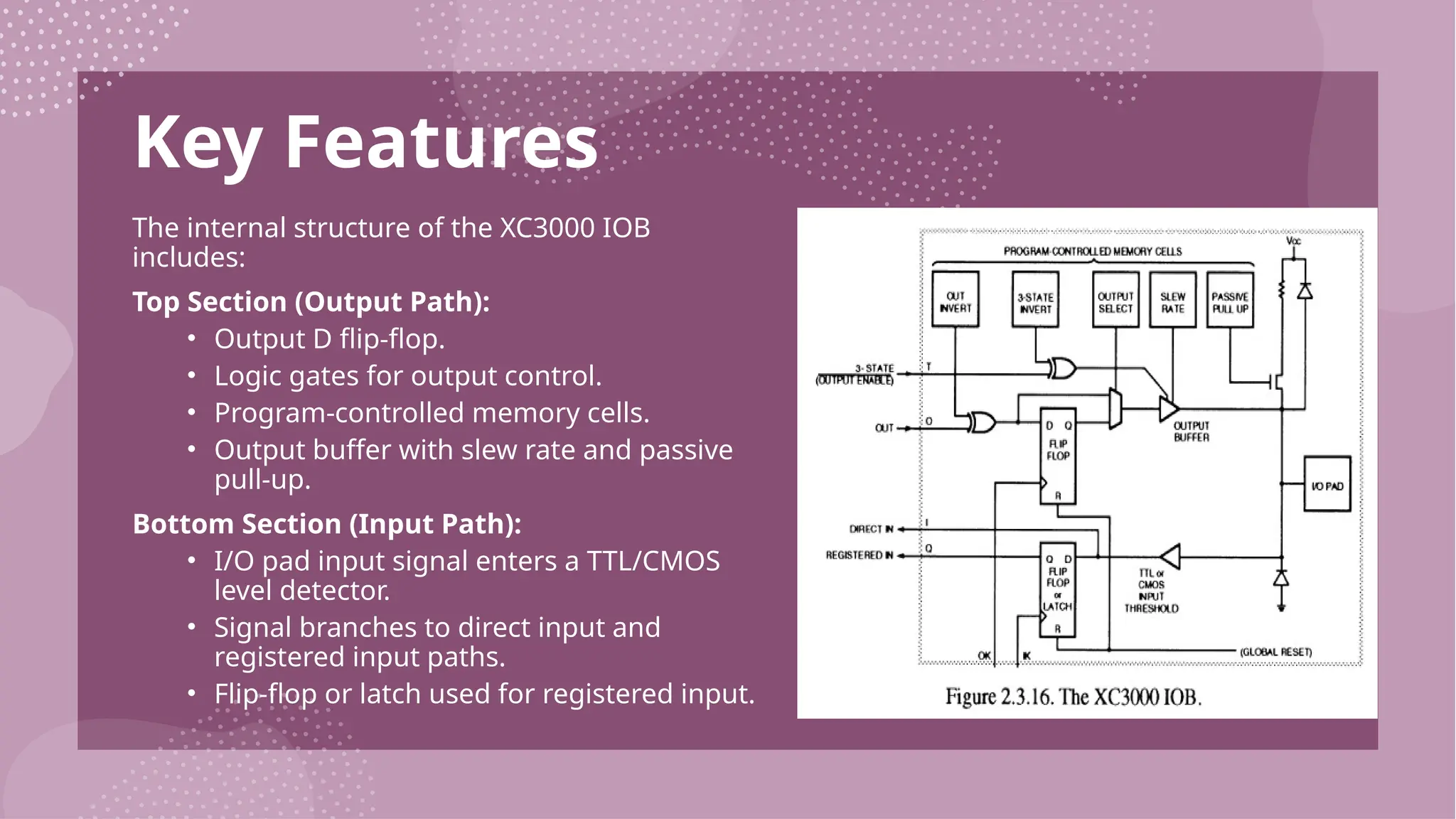 Key Features The internal structure of the XC3000 IOB includes: Top Section (Output Path): • Output D flip-flop. • Logic gates for output control. • Program-controlled memory cells. • Output buffer with slew rate and passive pull-up. Bottom Section (Input Path): • I/O pad input signal enters a TTL/CMOS level detector. • Signal branches to direct input and registered input paths. • Flip-flop or latch used for registered input. 