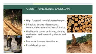 A MULTI-FUNCTIONAL LANDSCAPE
 High forested, low deforested region.
 Inhabited by afro-descendants
communities from the ...