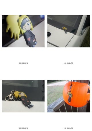 100_0626.JPG   100_0662.JPG




100_0663.JPG   100_0664.JPG
 