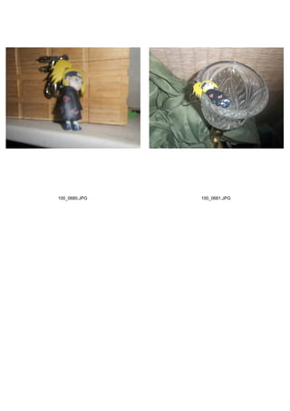 100_0680.JPG   100_0681.JPG
 