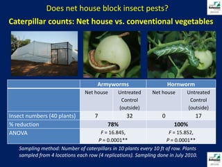 Does net house block insect pests?Caterpillar counts: Net house vs. conventional vegetablesSampling method: Number of caterpillars in 10 plants every 10 ft of row. Plants sampled from 4 locations each row (4 replications). Sampling done in July 2010.