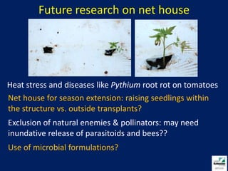 Managed with one spray of Fulfill 50WDG (selective feeding blocker)