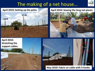 The making of a net house… April 2010: Setting up the polesApril 2010: Sewing the long net pieces 17-ft14-ftApril 2010: Stretching the support cablesMay 2010: Fabric on cable with S-hooks 