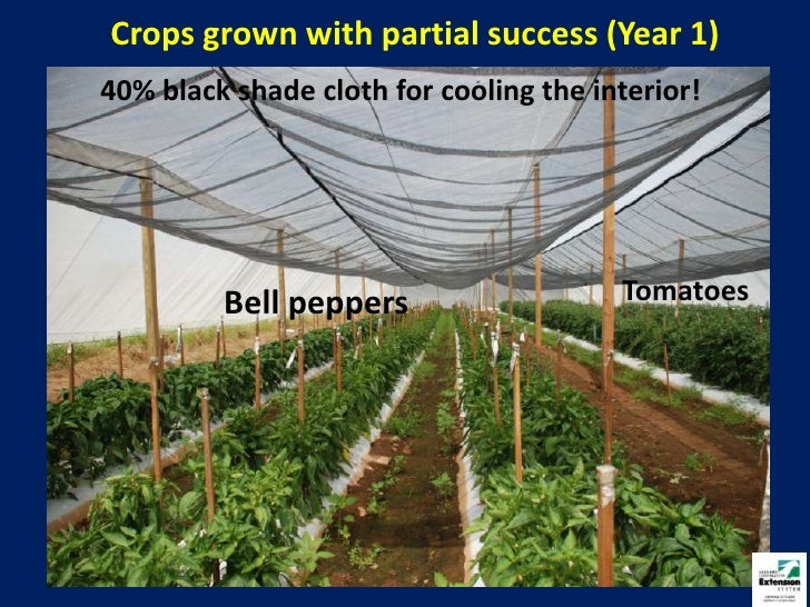 Net house vegetable production (2011)