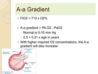 A-a Gradient 
 FIO2 = 713 x O2% 
 A-a gradient = PA O2 - PaO2 
◦ Normal is 0-10 mm Hg 
◦ 2.5 + 0.21 x age in years 
 With higher inspired O2 concentrations, the A-a 
gradient will also increase 
 
