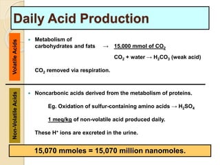 Daily Acid Production 
 Metabolism of 
carbohydrates and fats → 15,000 mmol of CO2 
CO2 + water → H2CO3 (weak acid) 
CO2 removed via respiration. 
 Noncarbonic acids derived from the metabolism of proteins. 
Eg. Oxidation of sulfur-containing amino acids → H2SO4 
1 meq/kg of non-volatile acid produced daily. 
These H+ ions are excreted in the urine. 
Non-Volatile Acids Volatile Acids 
15,070 mmoles = 15,070 million nanomoles. 
 