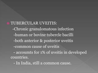  TUBERCULAR UVEITIS:
-Chronic granulomatous infection
-human or bovine tubercle bacilli
-both anterior & posterior uveitis
-common cause of uveitis
- accoumts for 1% of uveitis in developed
countries.
- In India, still a common cause.
 