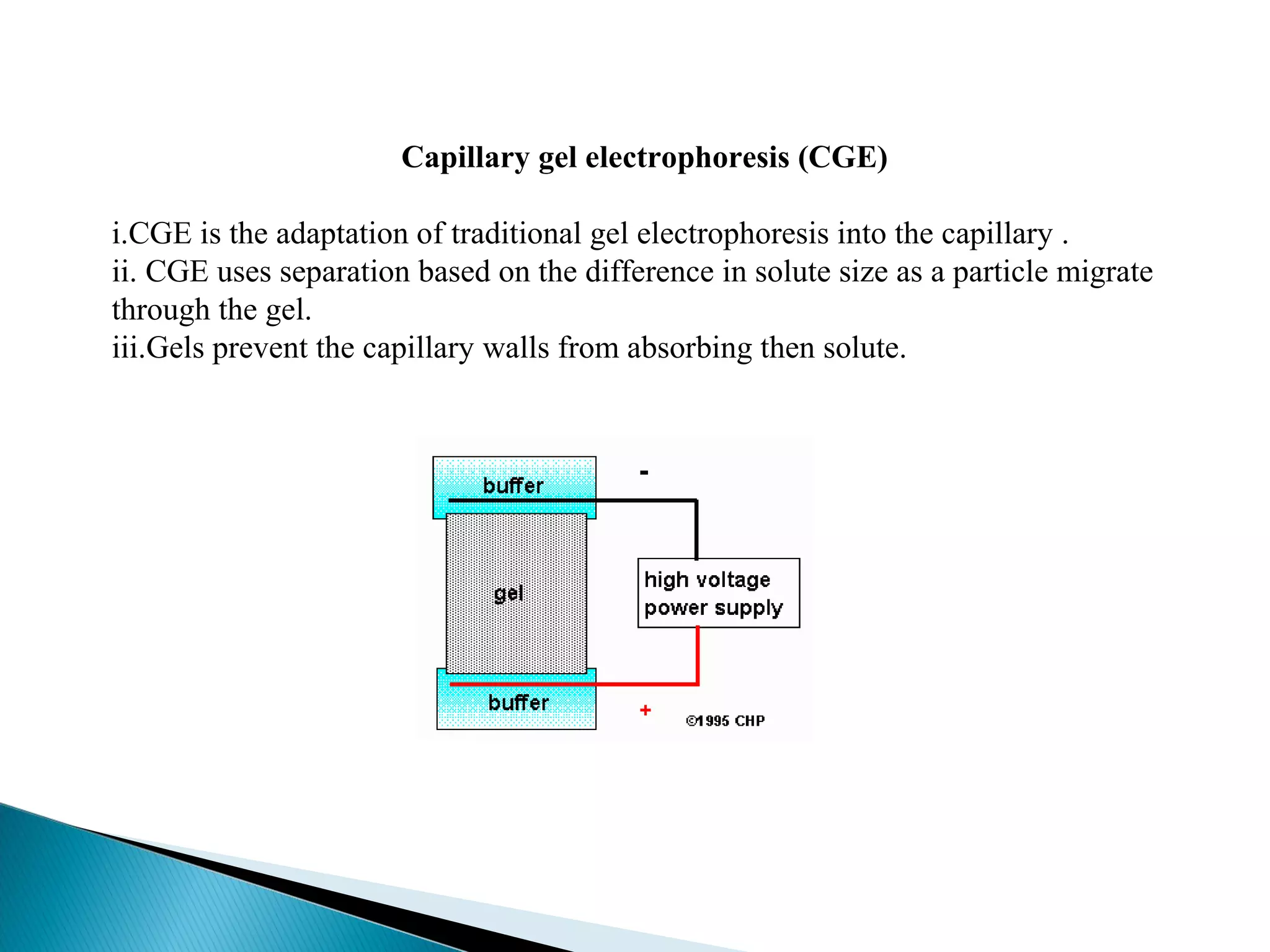 Cge Electropherogram Capillary Electrophoresis | PPT