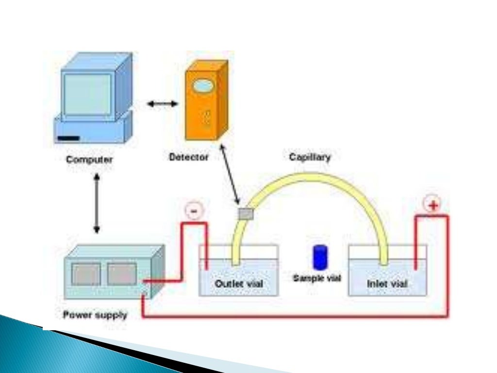 Capillary Electrophoresis
