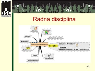 Radna disciplina 