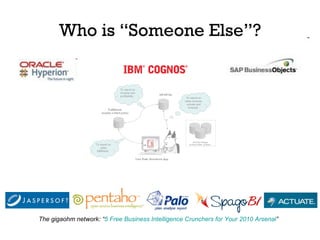 Who is “Someone Else”? The gigaohm network: “ 5 Free Business Intelligence Crunchers for Your 2010 Arsenal ” 
