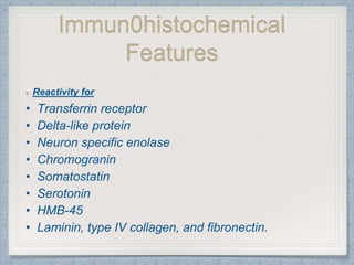 Immun0histochemical
Features
Reactivity for
• Transferrin receptor
• Delta-like protein
• Neuron specific enolase
• Chromogranin
• Somatostatin
• Serotonin
• HMB-45
• Laminin, type IV collagen, and fibronectin.
 