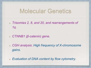 Molecular Genetics
Trisomies 2, 8, and 20, and rearrangements of
1q.
CTNNB1 (β-catenin) gene.
CGH analysis :High frequency of X-chromosome
gains.
Evaluation of DNA content by flow cytometry.
 