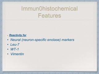 Immun0histochemical
Features
Reactivity for
• Neural (neuron-specific enolase) markers
• Leu-7
• WT-1
• Vimentin
 