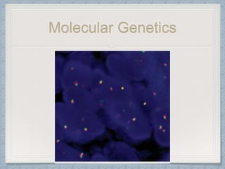 Molecular Genetics
 