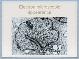 Electron microscopic
appearance
 