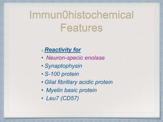 Immun0histochemical
Features
Reactivity for
• Neuron-specic enolase
• Synaptophysin
• S-100 protein
• Glial fibrillary acidic protein
• Myelin basic protein
• Leu7 (CD57)
 