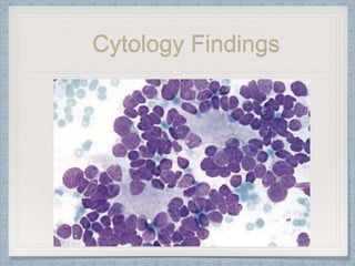 Cytology Findings
 